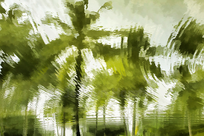 Tropical Reflection 1