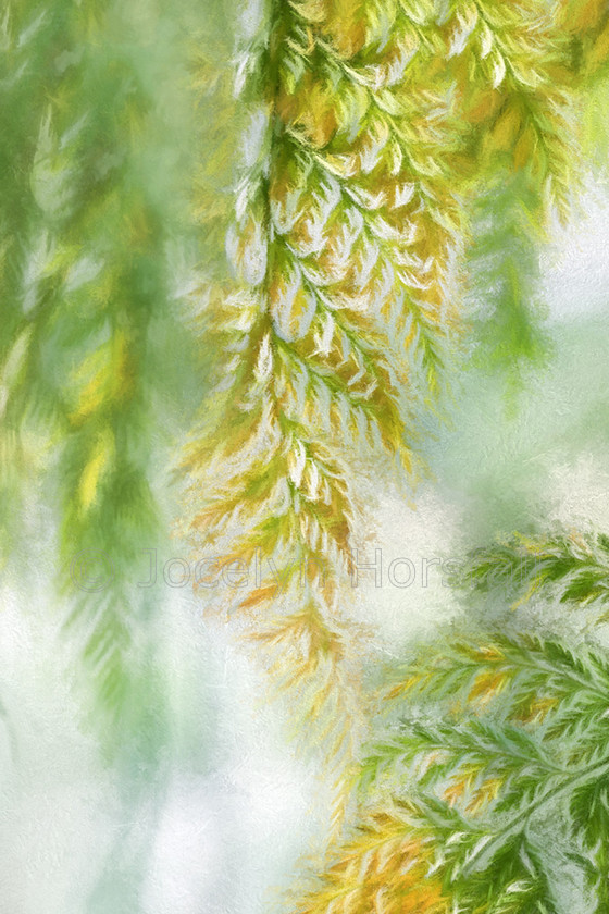 Impressionistic Ferns 2