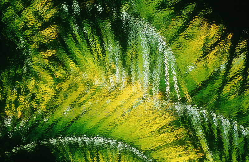 Painterly Palms